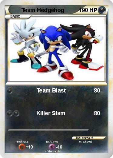 Pokemon Team Hedgehog