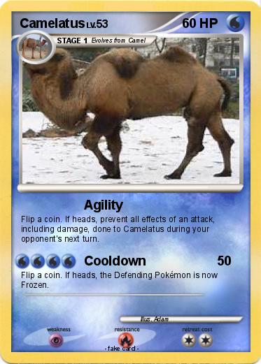 Pokemon Camelatus