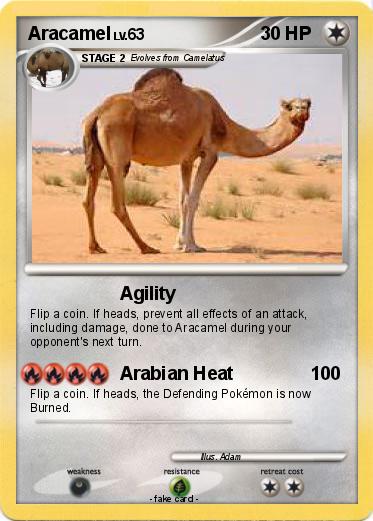 Pokemon Aracamel