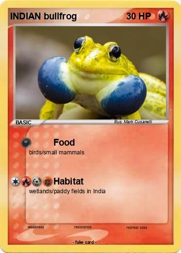 Pokemon INDIAN bullfrog