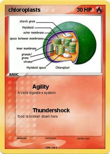Pokemon chloroplasts