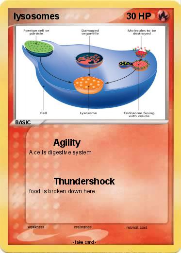 Pokemon lysosomes