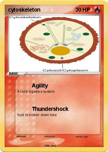 Pokemon cytoskeleton