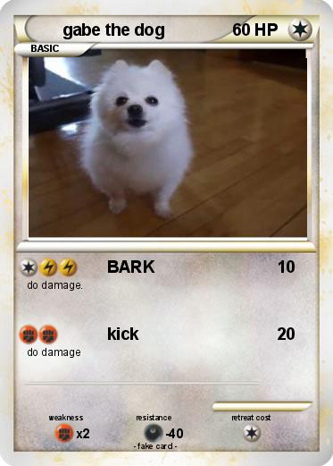 Pokemon gabe the dog