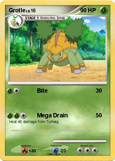 Pokemon Grotle