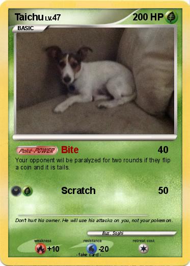 Pokemon Taichu