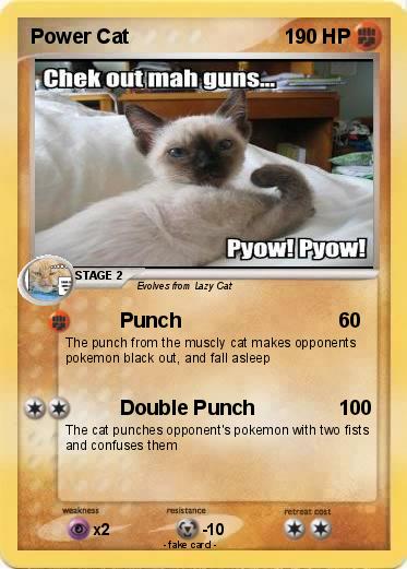 Pokemon Power Cat