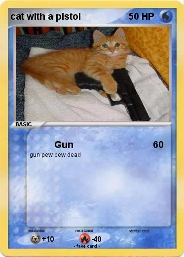 Pokemon cat with a pistol