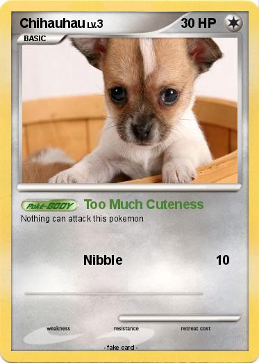 Pokemon Chihauhau