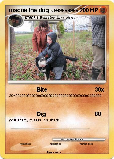 Pokemon roscoe the dog