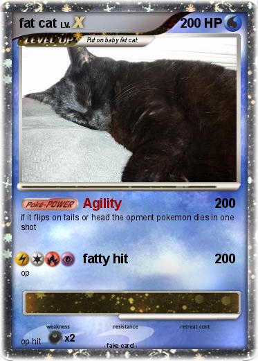 Pokemon fat cat
