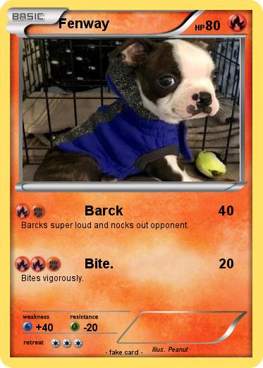 Pokemon Fenway