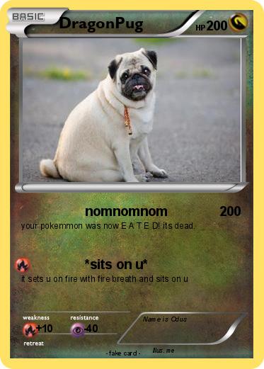 Pokemon DragonPug