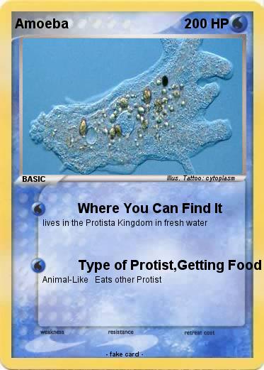 Pokemon Amoeba