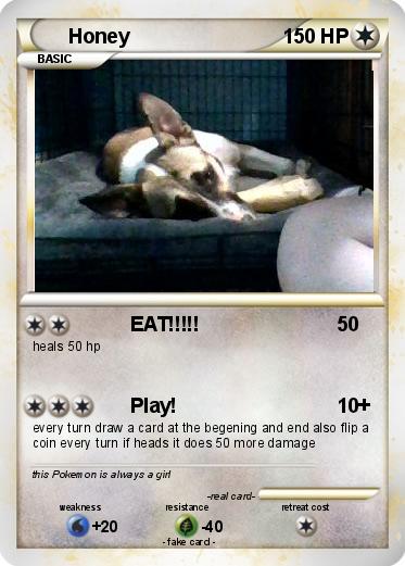 Pokemon Honey