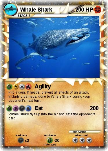 Pokemon Whale Shark
