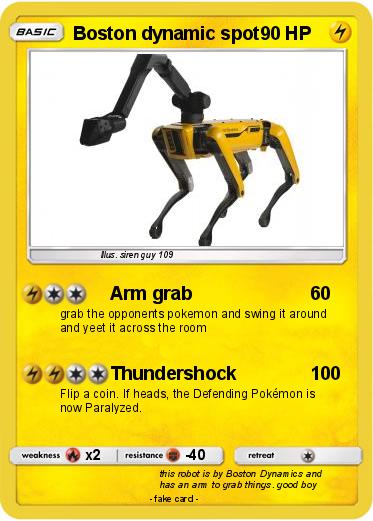 Pokemon Boston dynamic spot