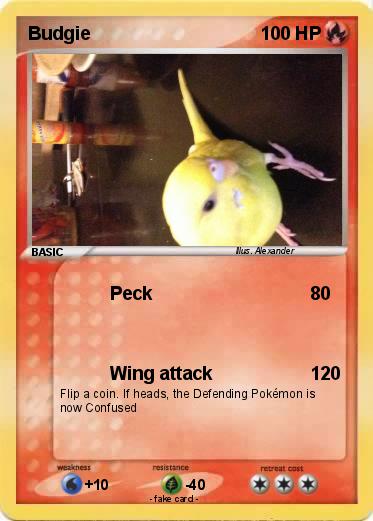 Pokemon Budgie