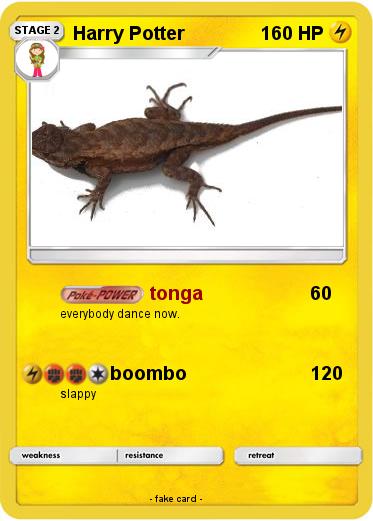 Pokemon Harry Potter