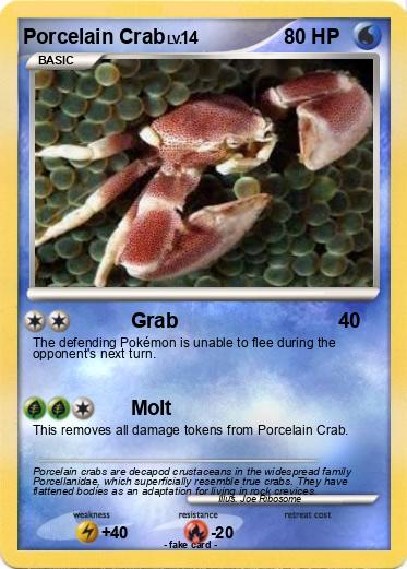 Pokemon Porcelain Crab