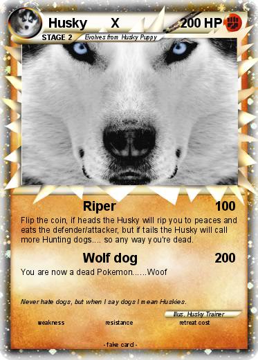 Pokemon Husky       X