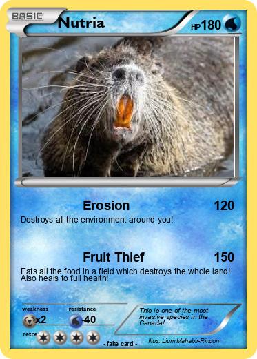 Pokemon Nutria