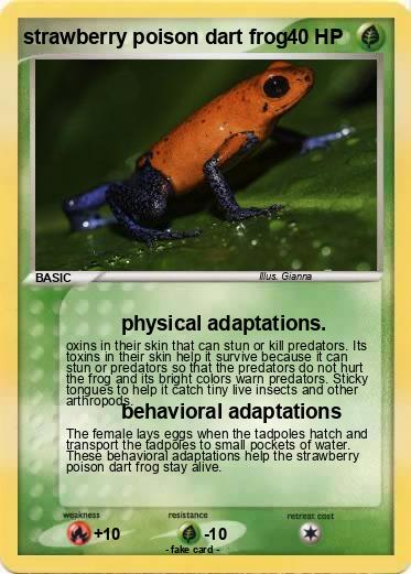 Pokemon strawberry poison dart frog