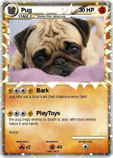 Pokemon Pug