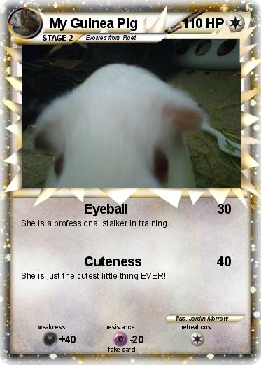 Pokemon My Guinea Pig