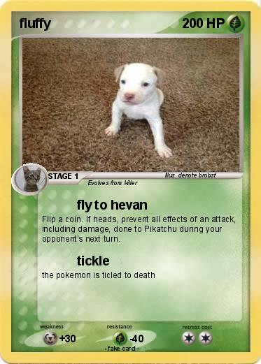 Pokemon fluffy Pokemon fluffy