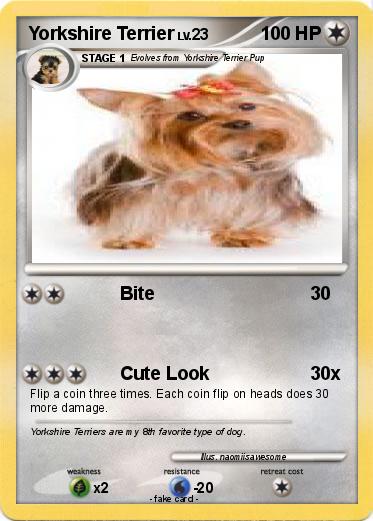 Pokemon Yorkshire Terrier