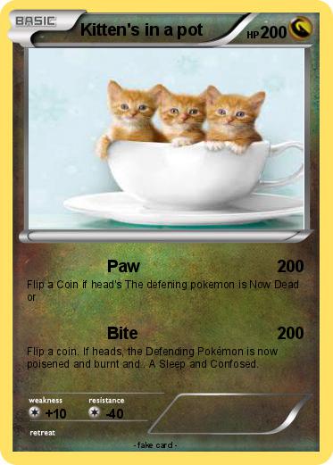 Pokemon Kitten's in a pot
