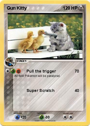 Pokemon Gun Kitty