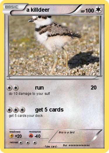 Pokemon a killdeer