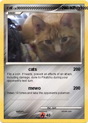 Pokemon cat