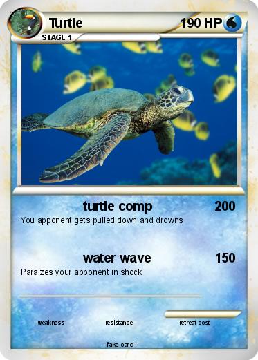 Pokemon Turtle