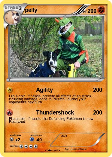 Pokemon pelly