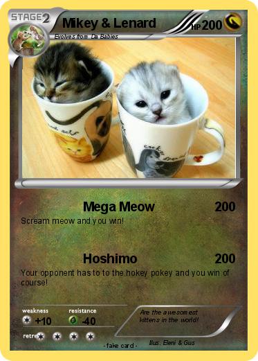 Pokemon Mikey & Lenard