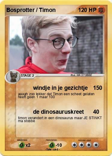 Pokemon Bosprotter / Timon