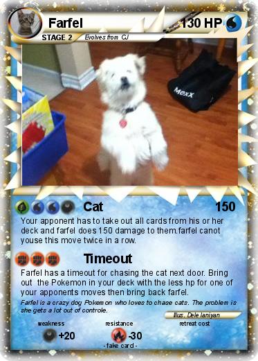 Pokemon Farfel