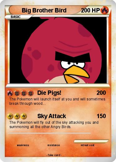 Pokemon Big Brother Bird