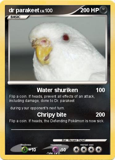 Pokemon dr parakeet