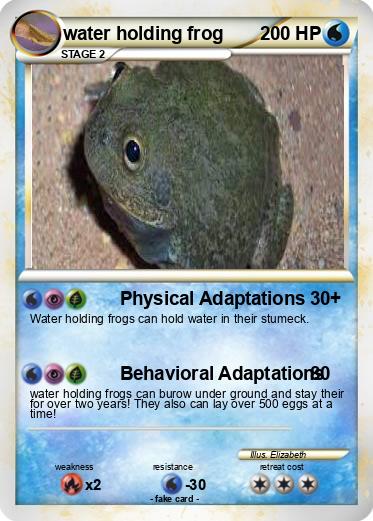 Pokemon water holding frog