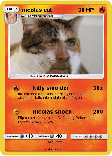 Pokemon nicolas cat