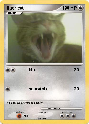 Pokemon tiger cat