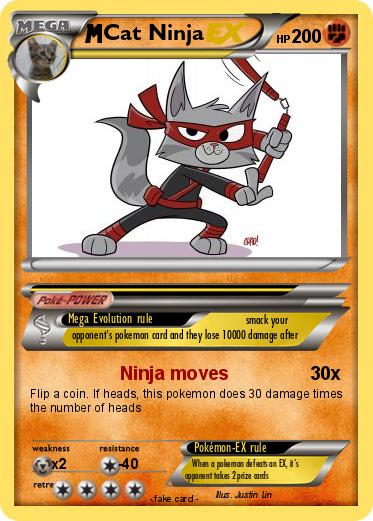 Pokemon Cat Ninja