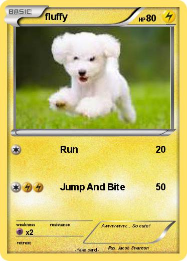Pokemon fluffy
