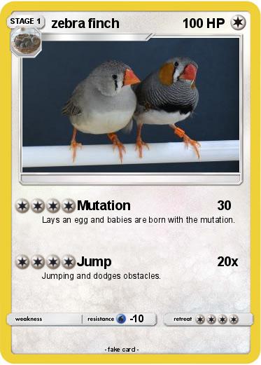 Pokemon zebra finch