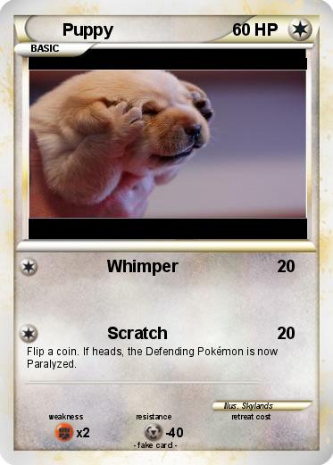 Pokemon Puppy