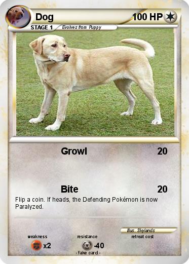 Pokemon Dog
